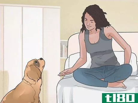 Image titled Encourage Your Dog to Sleep in Your Bed Step 3