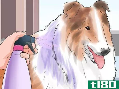 Image titled Dye Your Pet Step 8