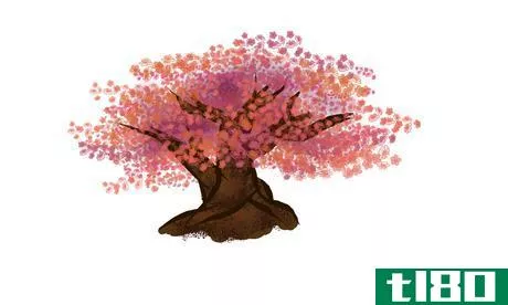 Image titled Cherry Blossom Tree.png