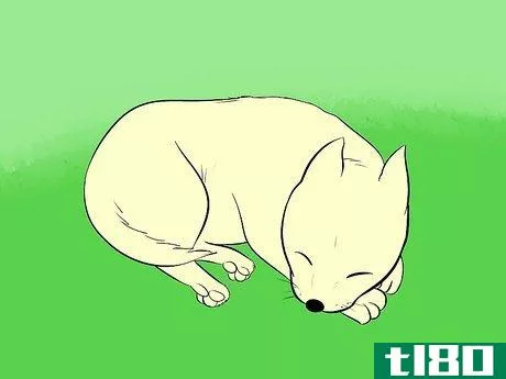Image titled Draw a Cartoon Dog Step 26