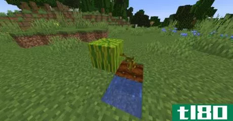 Image titled Find melon seeds in minecraft step 23.png