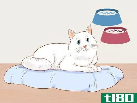 Image titled Diagnose and Treat Pancreatitis in Cats Step 10