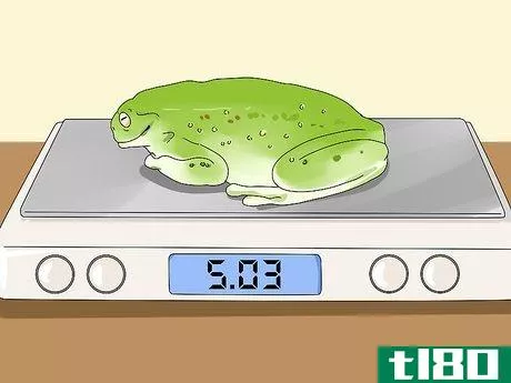 Image titled Diagnose Your Tree Frog's Illness Step 8
