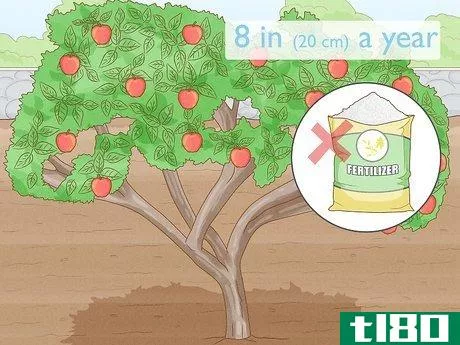 Image titled Fertilize an Apple Tree Step 1