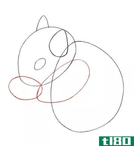 Image titled Draw a Squirrel Step 5