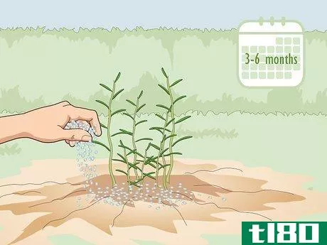 Image titled Fertilize Herbs Step 8