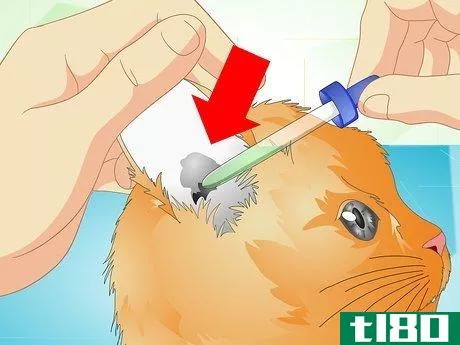 Image titled Deliver Ear Medication to Cats Step 10