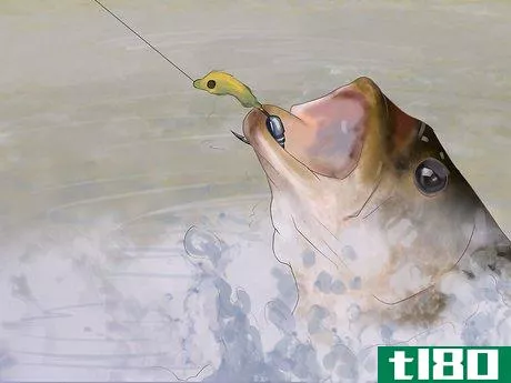 Image titled Fly Fish Step 12