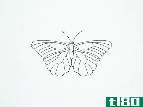 Image titled Draw a Butterfly Step 24