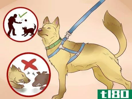Image titled Find a Good Guard Dog Step 13