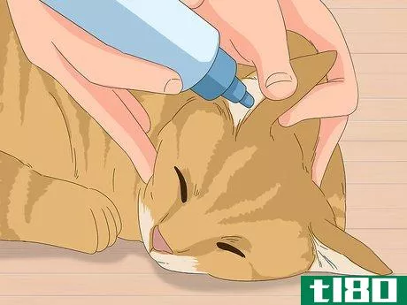Image titled Diagnose and Treat Horner's Syndrome in Cats Step 6