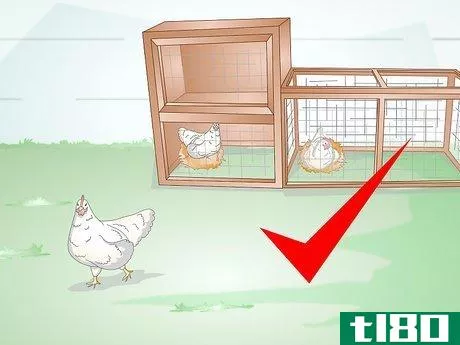 Image titled Feed Laying Hens Step 3