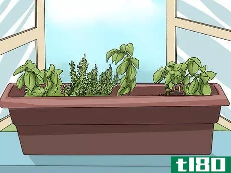 Image titled Fix Common Indoor Herb Garden Problems Step 1