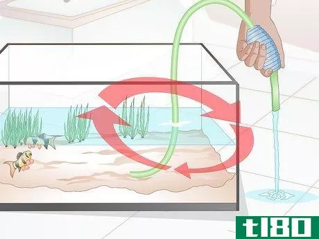 Image titled Do a Water Change in a Freshwater Aquarium Step 16