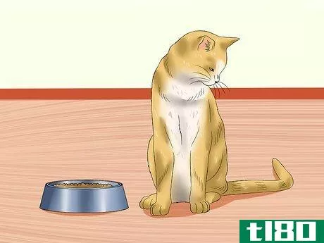 Image titled Ensure That Your Cat Finishes Its Food Step 9