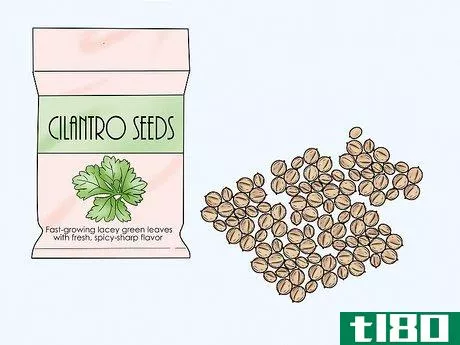 Image titled Germinate Cilantro Seeds Step 2