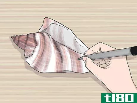 Image titled Drill a Hole in a Seashell (Without a Drill) Step 7