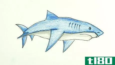 Image titled Draw a Shark Step 20