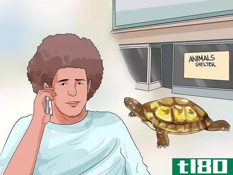 如何找到一只乌龟(find a turtle)