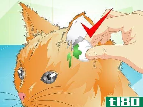 Image titled Deliver Ear Medication to Cats Step 13