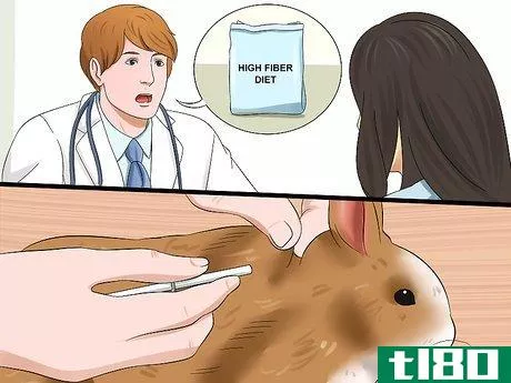 Image titled Diagnose Digestive Problems in Rabbits Step 6