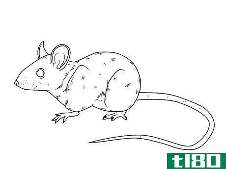 Image titled Draw a Mouse Step 14