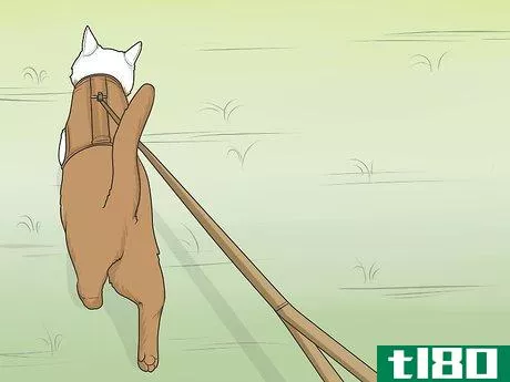 Image titled Gain a Cat's Trust Step 14