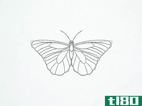 Image titled Draw a Butterfly Step 23