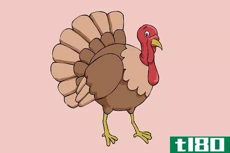 Image titled Draw a Turkey Step 12