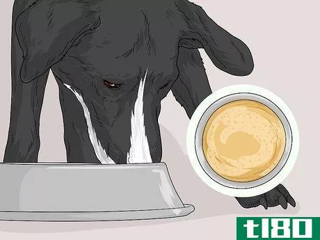 Image titled Feed a Sick Dog Step 17
