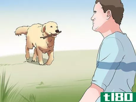 Image titled Exercise With Your Dog Step 12