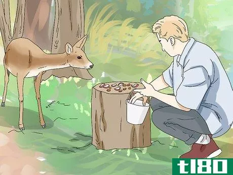 Image titled Feed Deer Step 11