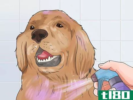 Image titled Dye Your Pet Step 12