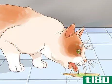 Image titled Diagnose and Treat Pyrethrin Poisoning in Cats Step 2