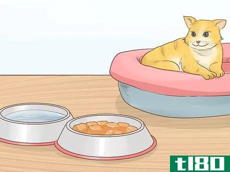 Image titled Feed a Feline Cancer Patient Step 13