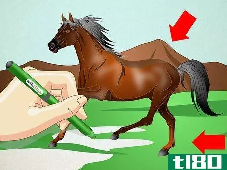 Image titled Draw a Realistic Looking Horse Step 10