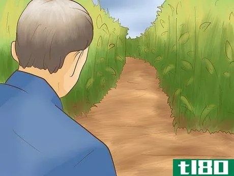 如何找到穿过玉米迷宫的路(find your way through a corn maze)