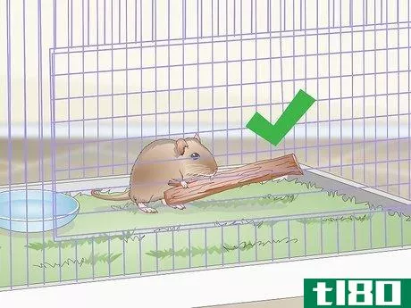 Image titled Exercise Your Gerbil Step 5
