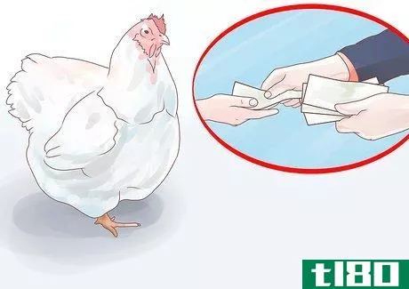 Image titled Feed Chickens Step 17