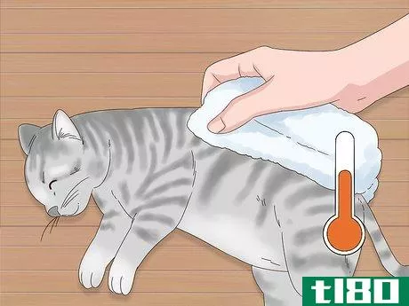 Image titled Diagnose and Treat Frostbite in Cats Step 7