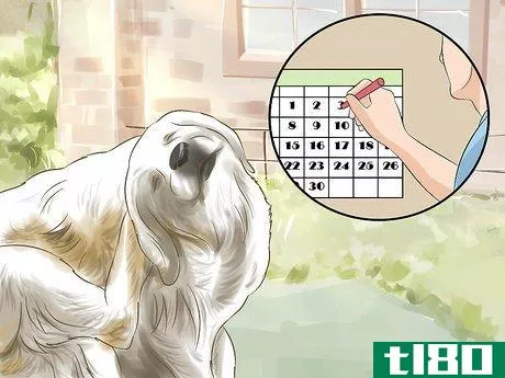 Image titled Diagnose Skin Allergies in Golden Retrievers Step 4