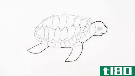 Image titled Draw a Turtle Step 16