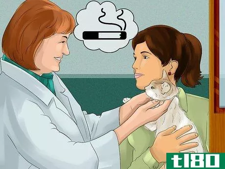 Image titled Diagnose and Treat Feline Bronchitis Step 4