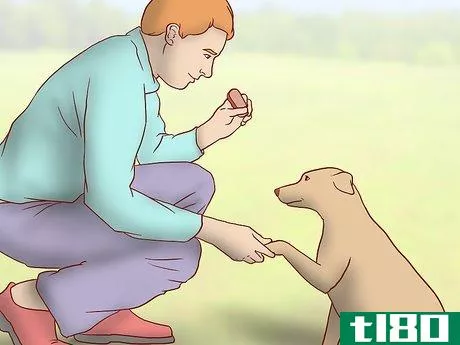 Image titled Evaluate Your Reasons for Wanting a Dog Step 1