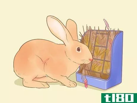 Image titled Feed Your Rabbit with Pellets Step 15