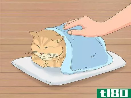 Image titled Diagnose and Treat Frostbite in Cats Step 4