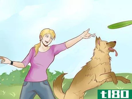 Image titled Find a Good Guard Dog Step 12