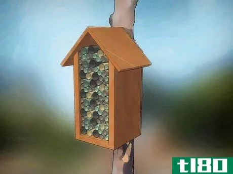 Image titled Design a Habitat for a Ladybird Step 11