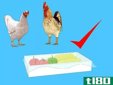 Image titled Feed Chickens Organically Step 5