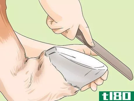 Image titled Ease Your Horse's Sore Hooves After Trimming Step 4